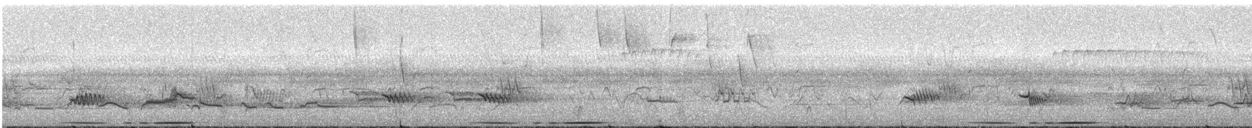 Large-tailed Dove - ML286580