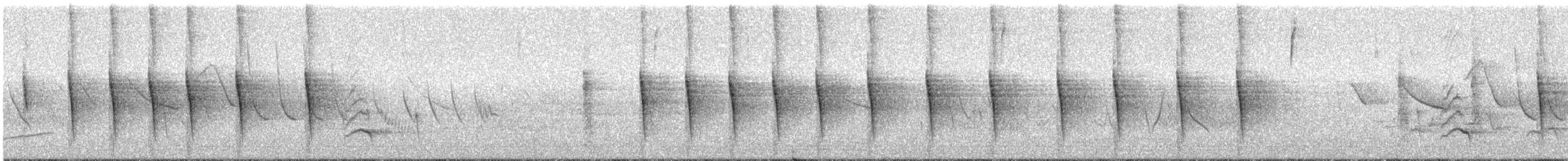 boliviamarkløper - ML286587