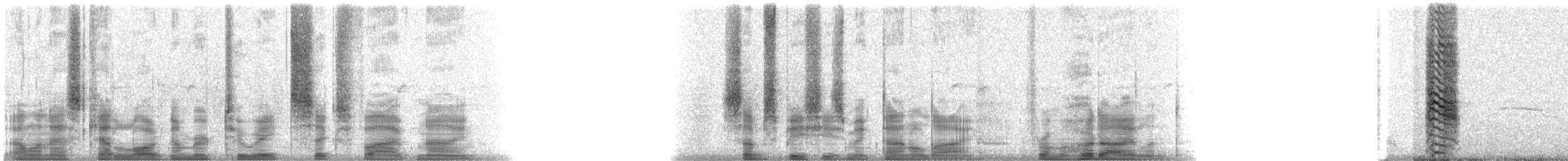 Españolaspottdrossel - ML28659