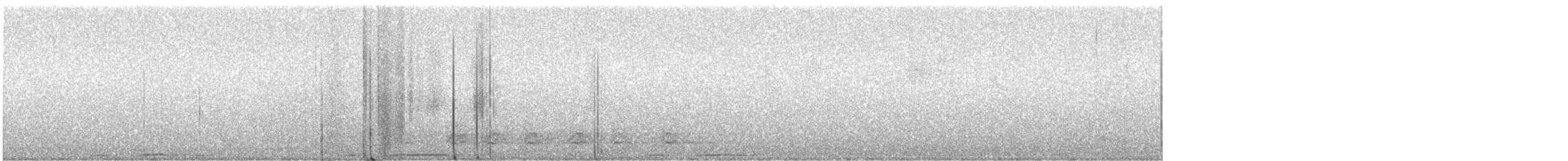 bånddue (fasciata gr.) - ML286591311