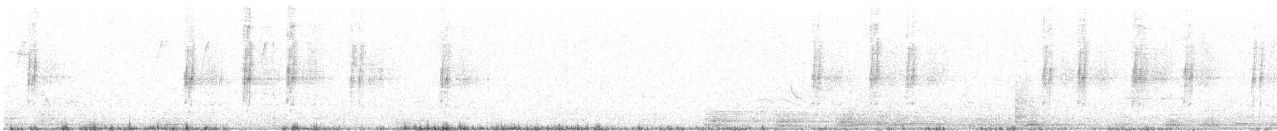 Западный воробьиный попугайчик - ML286634541