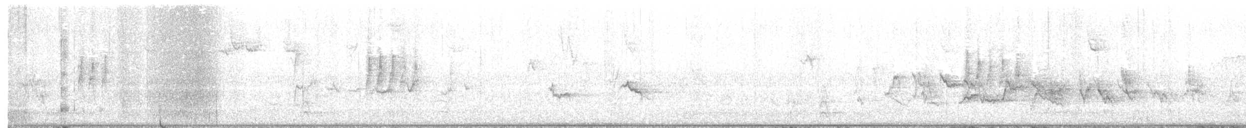 ゴマフスズメ（iliaca／zaboria） - ML286641801