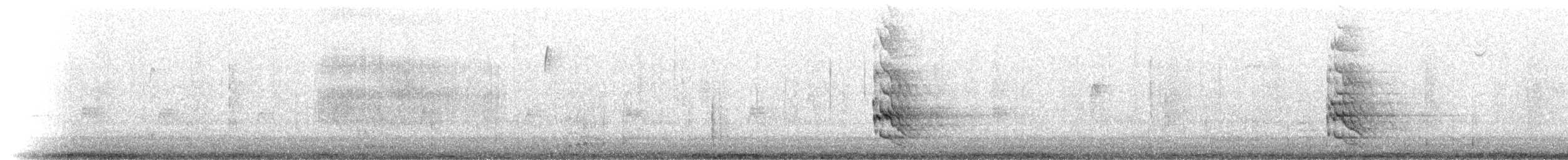 Aura Gallipavo - ML286650691