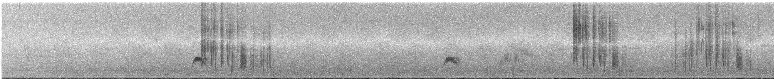 kometkolibri - ML286654