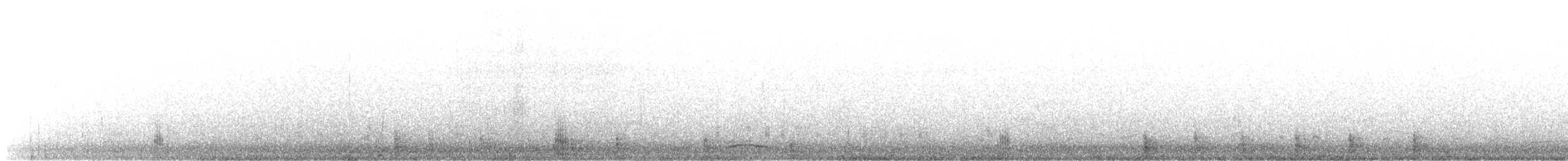 morčák chocholatý - ML286662011