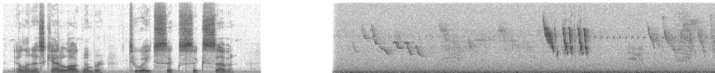 Pinzón de Darwin Oliváceo - ML28667