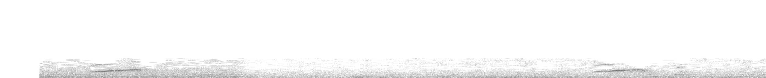 Little Owl - ML28670931