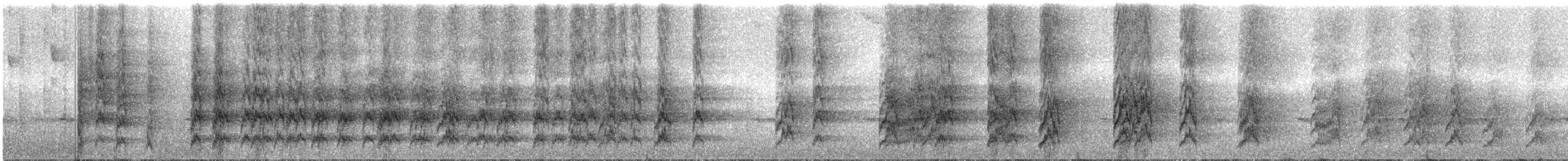 ズアカウロコインコ - ML286720