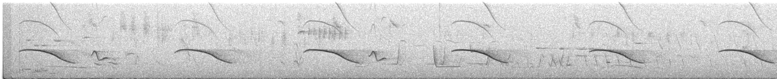 Horsfield's Bronze-Cuckoo - ML286738721