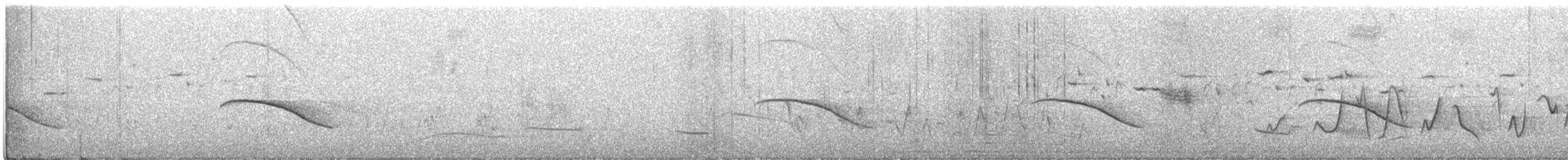 Horsfield's Bronze-Cuckoo - ML286738731