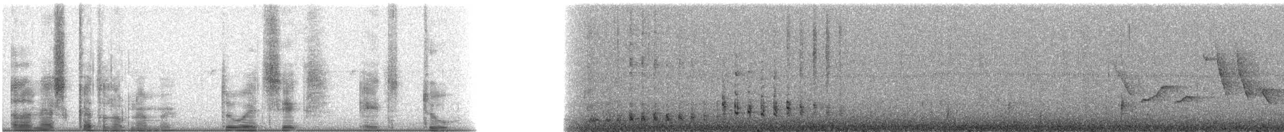 אנפית מנגרובים (גלפגוס) - ML28682
