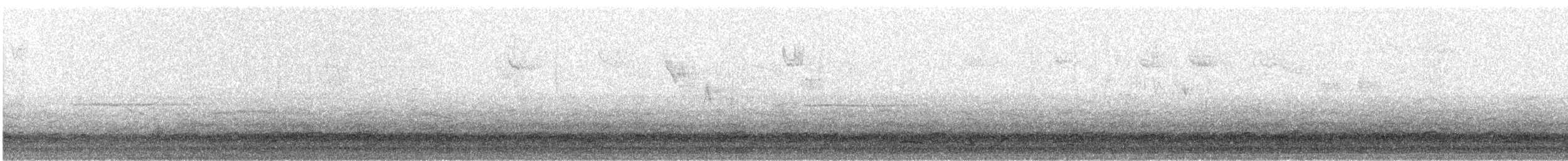 Snow Goose - ML286830101