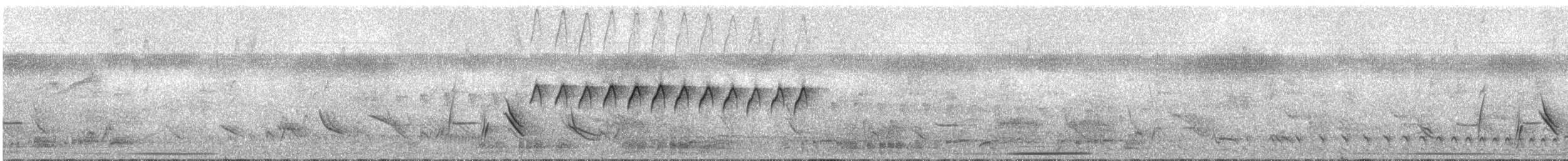 カオジロブユムシクイ（plumbiceps／anteocularis） - ML286918