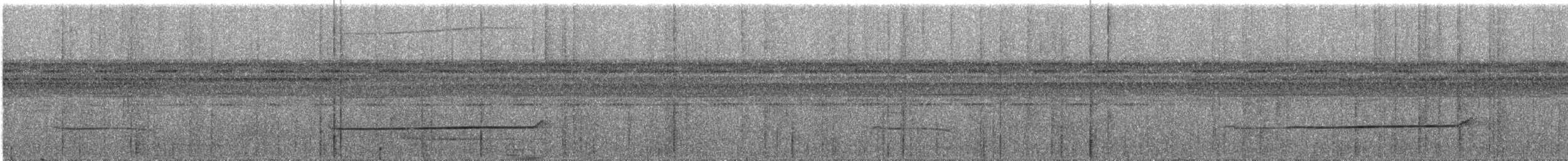 Weißmasken-Ameisenvogel - ML286920021