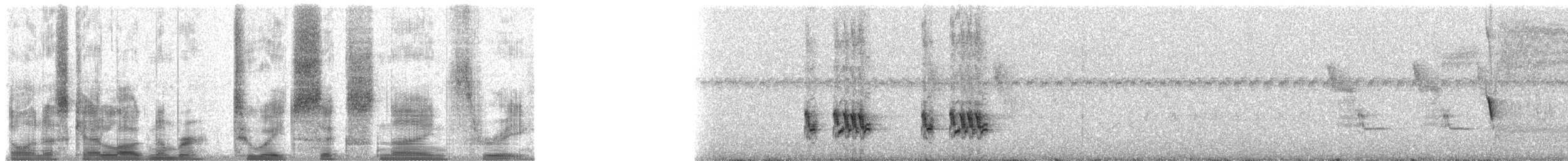 Spechtdarwinfink (pallidus/productus) - ML28693