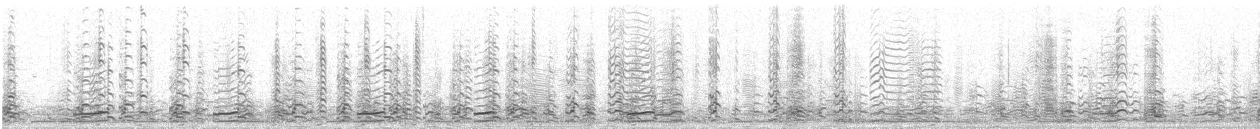 Zwergkanadagans - ML286949831