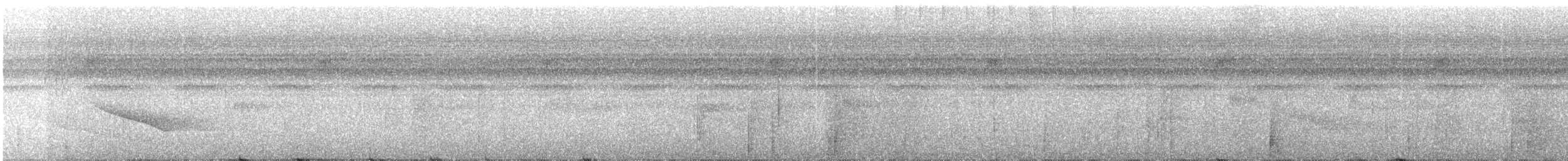 Band-tailed Manakin - ML287178521
