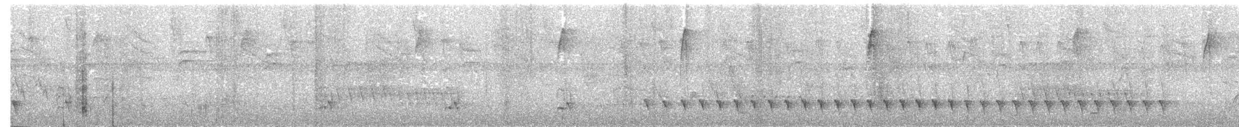 ズキンヒメアリサザイ - ML287201161