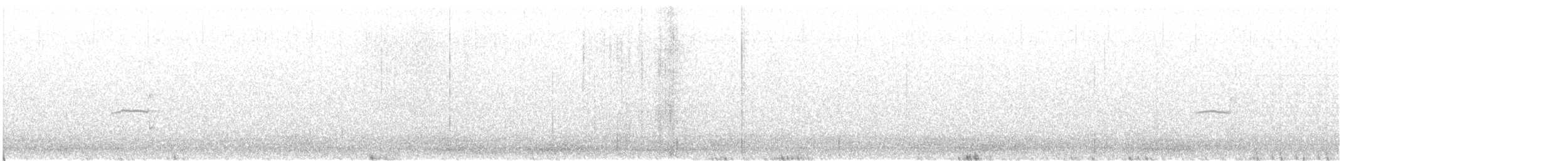 nordglattyrannulett - ML287215871