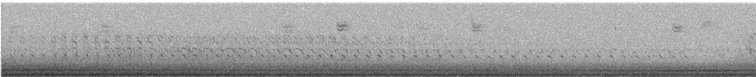 tanımsız ördek (Anatinae sp.) - ML287223811