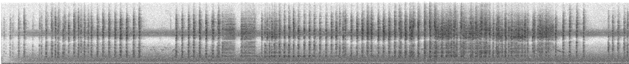 Weißohr-Zaunkönig - ML287323