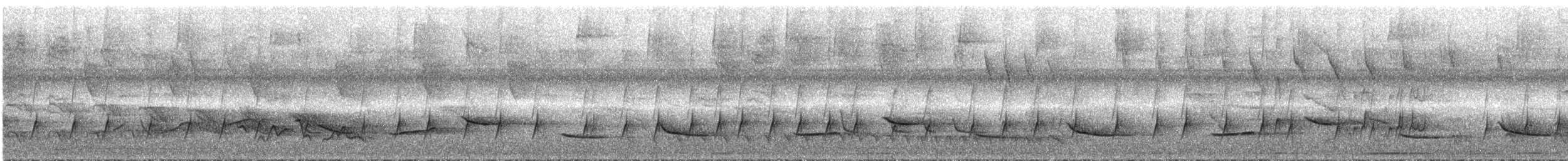 Schwarzflügeltrupial - ML287325