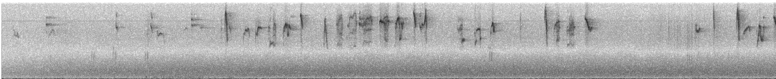 nordmeisetyrann - ML287337