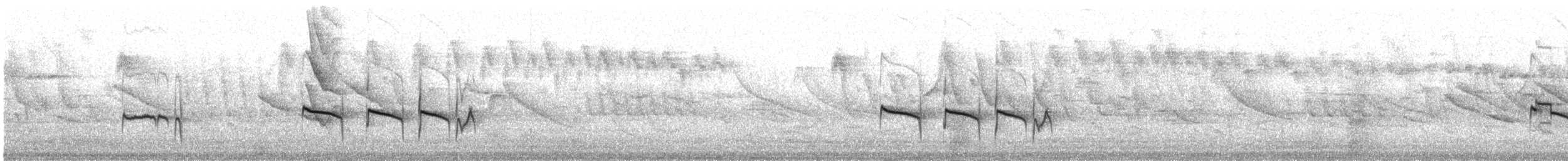 Güneyli Bıyıksız Tiranulet [obsoletum grubu] - ML287338811