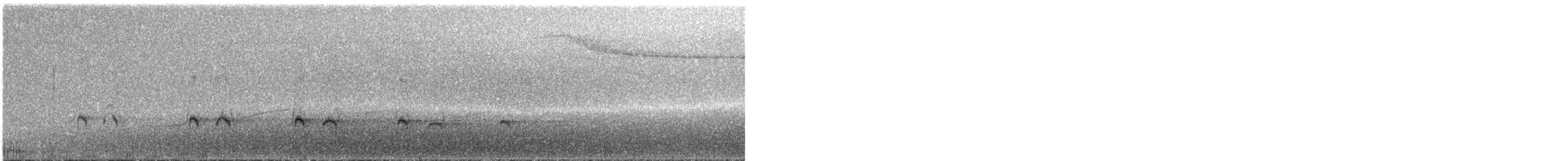 Толстоклювый мечник [группа promeropirhynchus] - ML287368