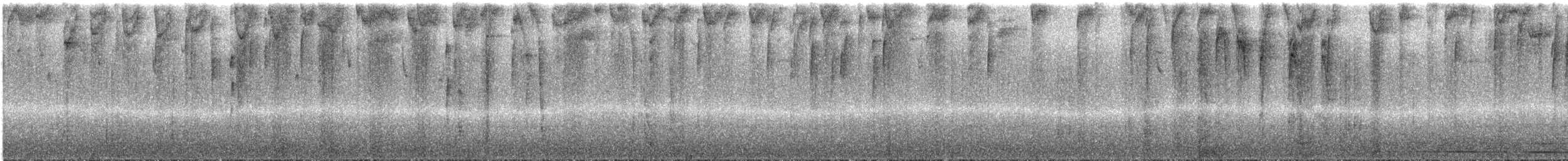 Tangara à calotte grise - ML287376