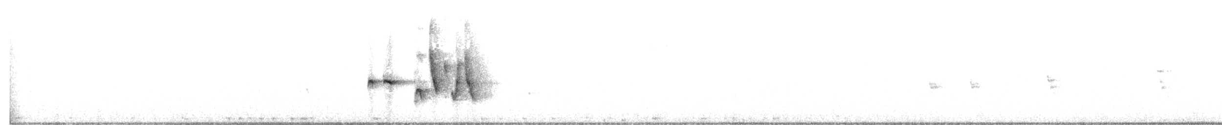 Бледноногая короткохвостка - ML287388201