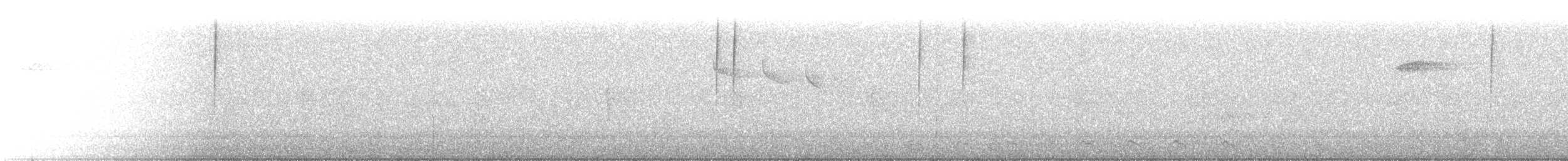 Пестрохвостая эферуса - ML287397861