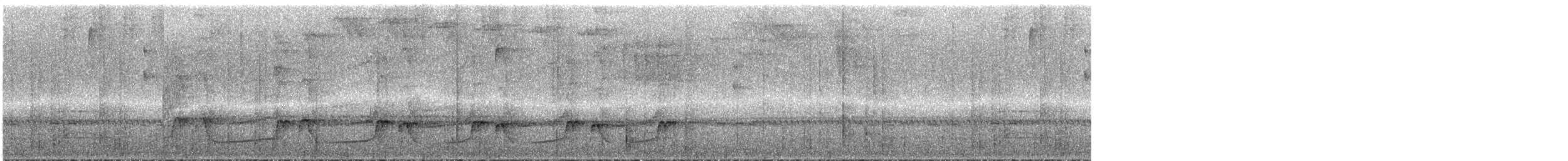 Толстоклювый мечник [группа promeropirhynchus] - ML287415