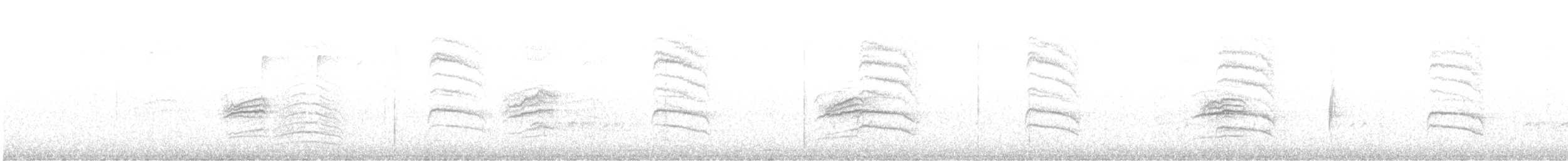 Дрізд-короткодзьоб плямистоволий - ML287445111