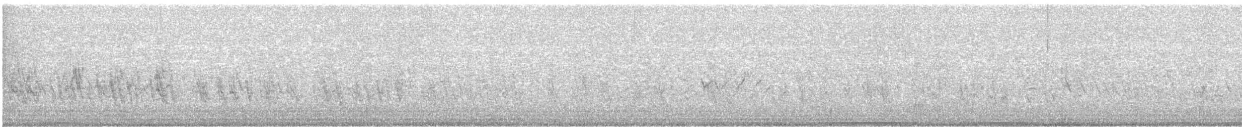 Sizerin flammé (flammea/rostrata/islandica) - ML287447171