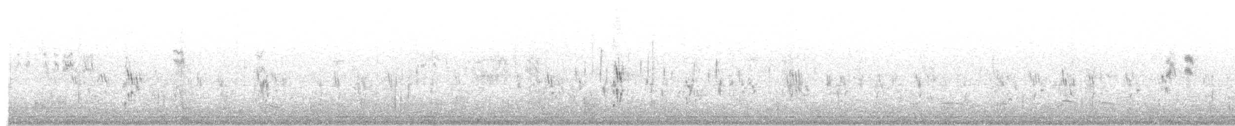 Hirondelle bicolore - ML287455301