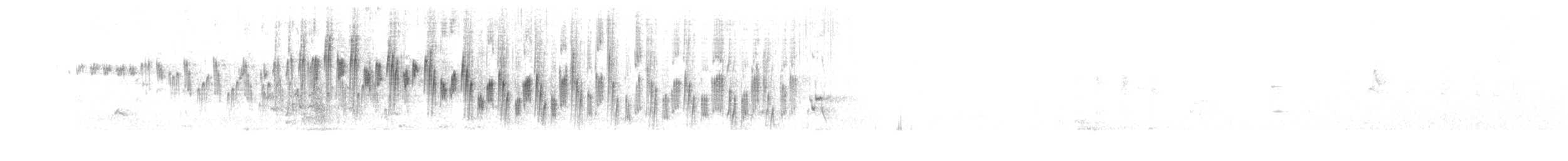 Splendid Fairywren - ML287516801