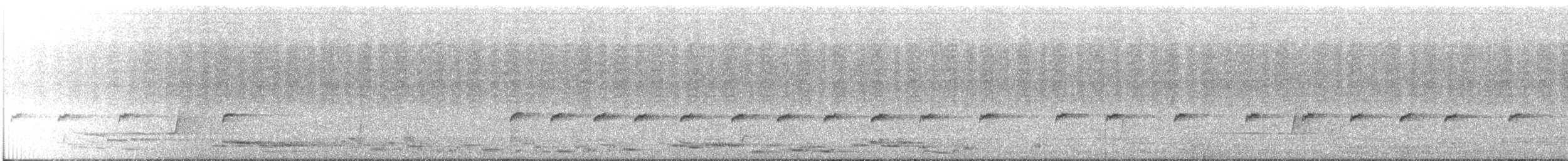 Королаз плямистобокий [група leucophaea] - ML287595891
