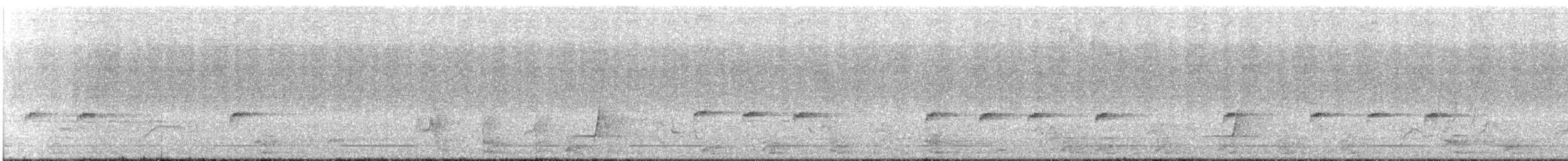 Королаз плямистобокий [група leucophaea] - ML287596911