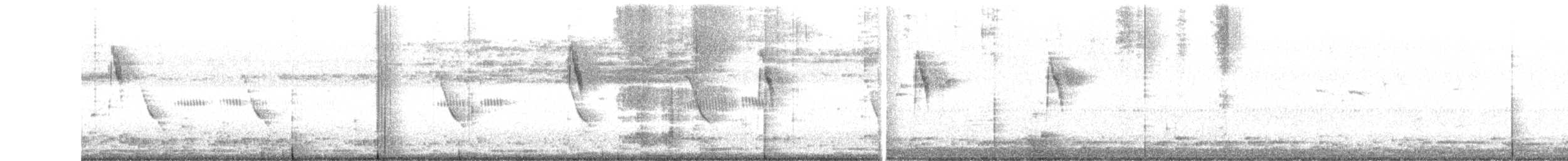 Buztanikara txukotkarra - ML287610881