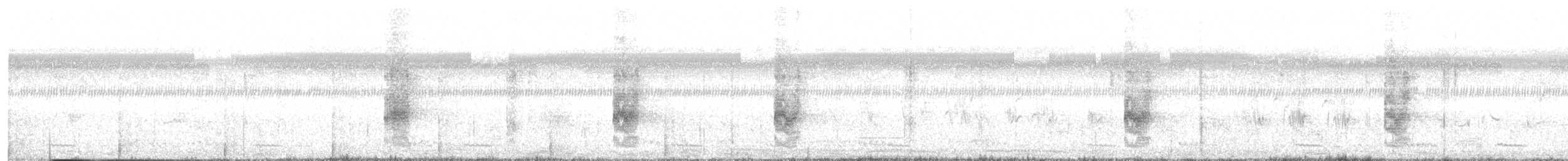 Long-tailed Shrike - ML287614441