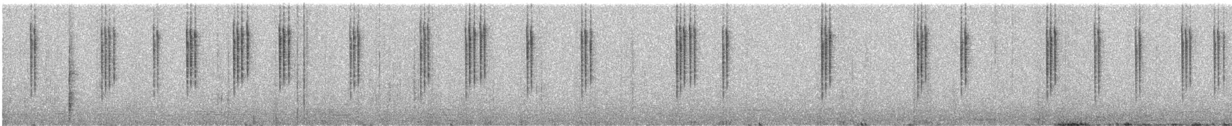Черноухий колибри - ML287638471