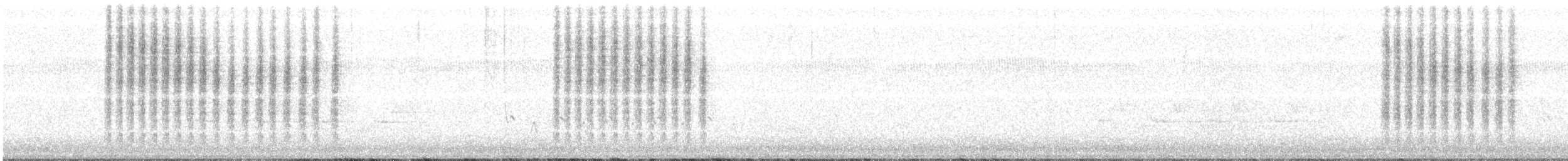 Northern House Wren - ML287644921