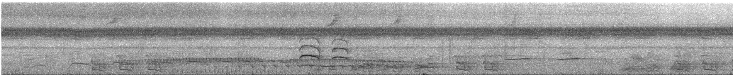 Guayana-Strichelameisenschlüpfer - ML287815