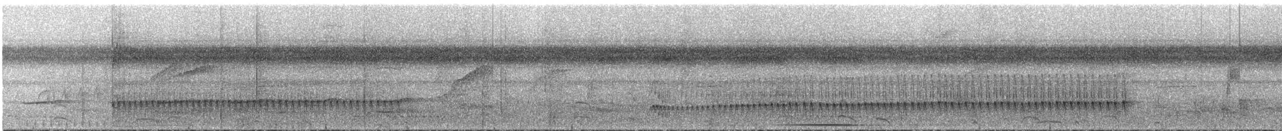 Guayana-Strichelameisenschlüpfer - ML287816