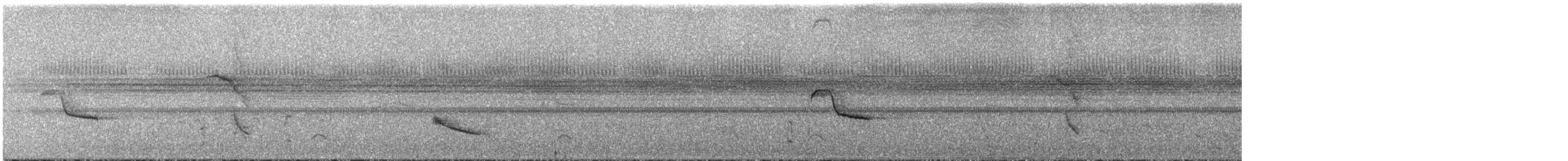 Трупіал жовтоплечий (підвид chrysocephalus) - ML287873