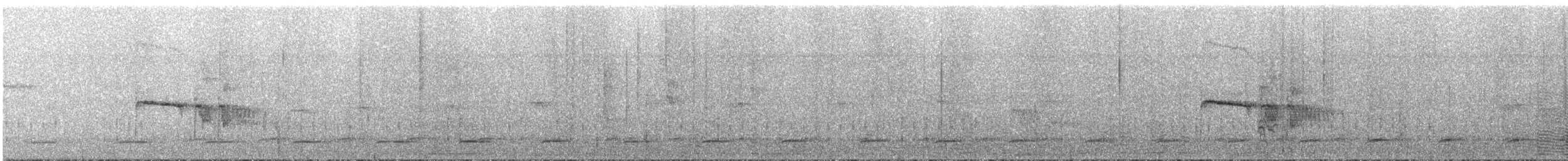 キバラメグロハエトリ（pusillum グループ） - ML287891