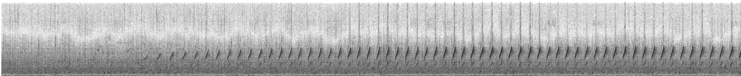 メリダオタテドリ（meridanus） - ML287932