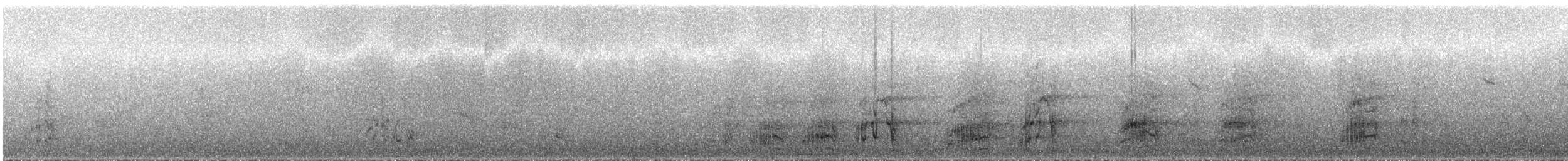 キボウシインコ - ML287982