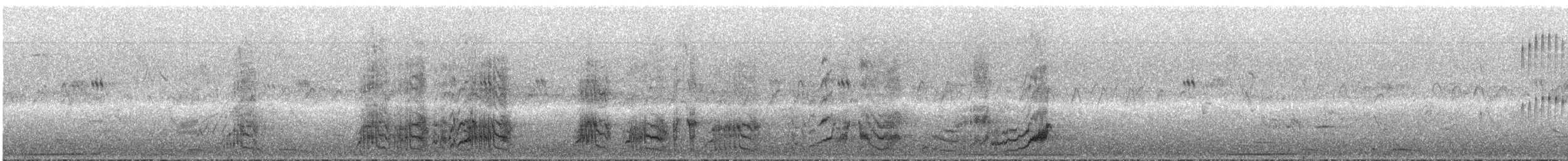 キボウシインコ - ML287986